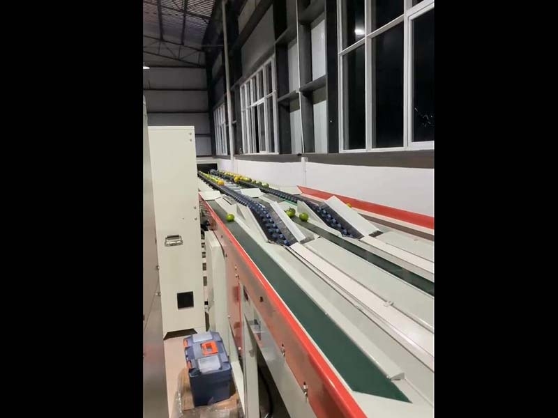 橙子、柑橘分選機