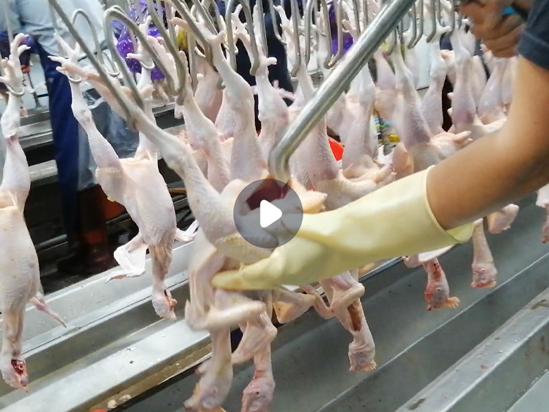 吸肺機(jī)（雞肺、甲魚內(nèi)臟、油脂）